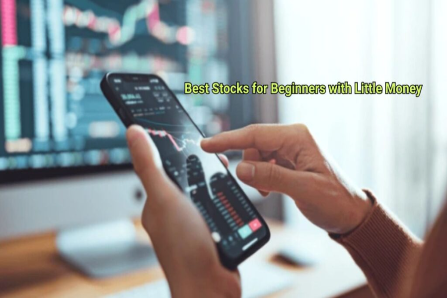 Best Stocks For Beginners With Little Money