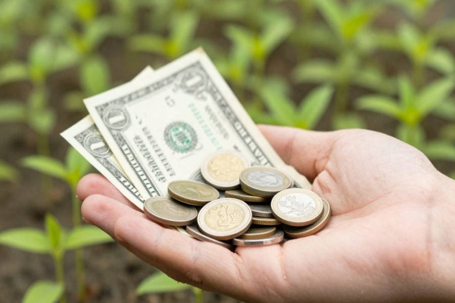 Best Stocks For Beginners With Little Money